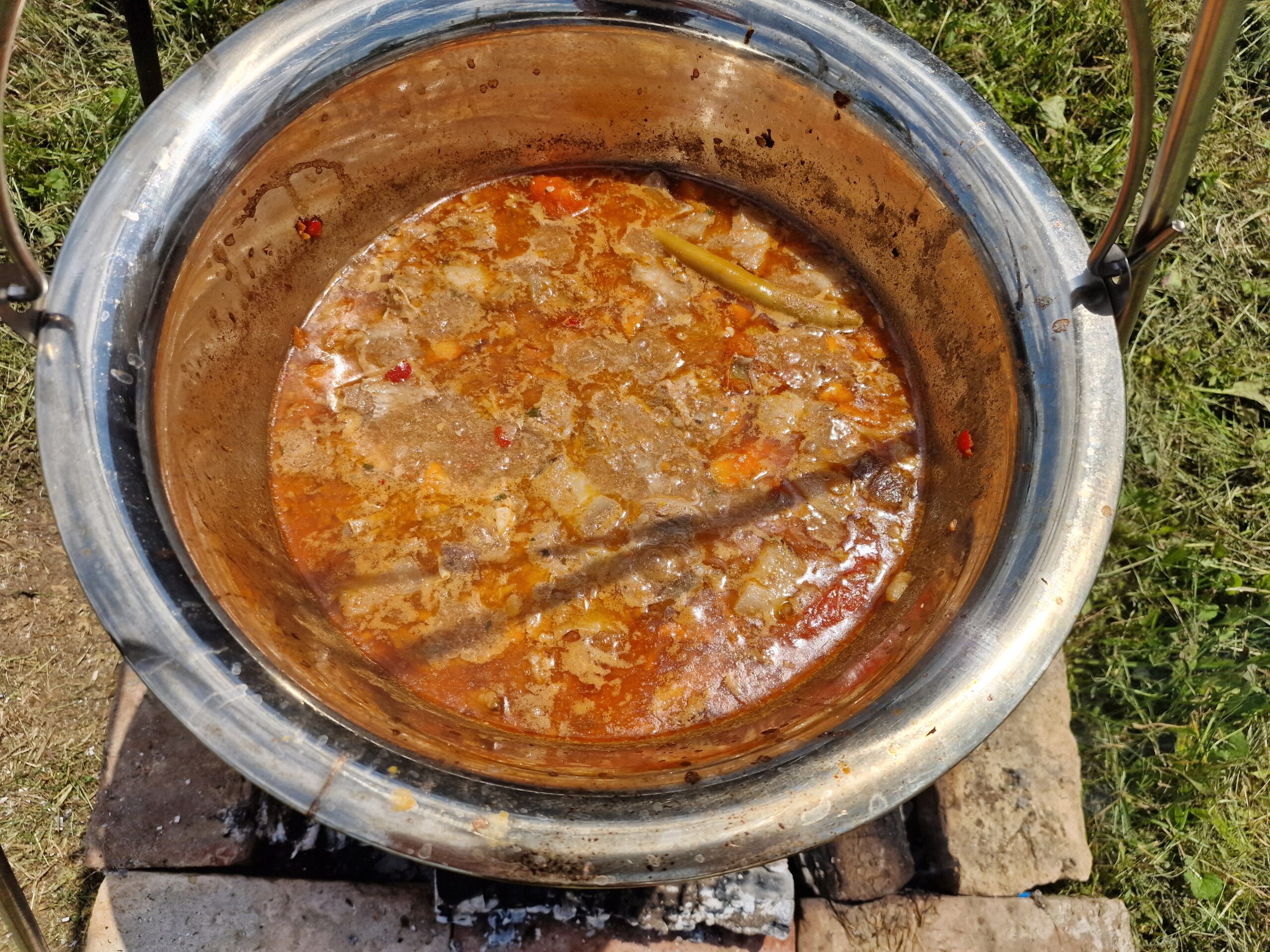 Druženje 11